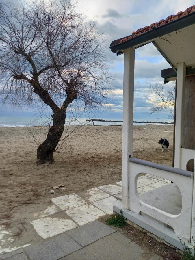 Bilocale Climatizzato A 850M Dalla Spiaggia Casa Katia Marina di Massa Extérieur photo